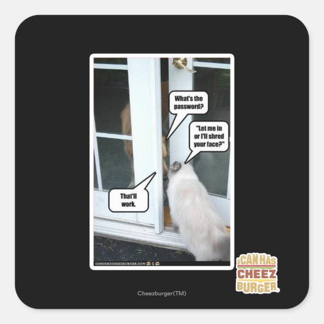 Pegatina Cuadrada Contraseña por favor (Anverso)