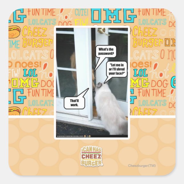 Pegatina Cuadrada Contraseña por favor (Anverso)