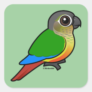 Pegatina Cuadrada Conure Birdorable