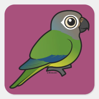 Pegatina Cuadrada Conure Birdorable