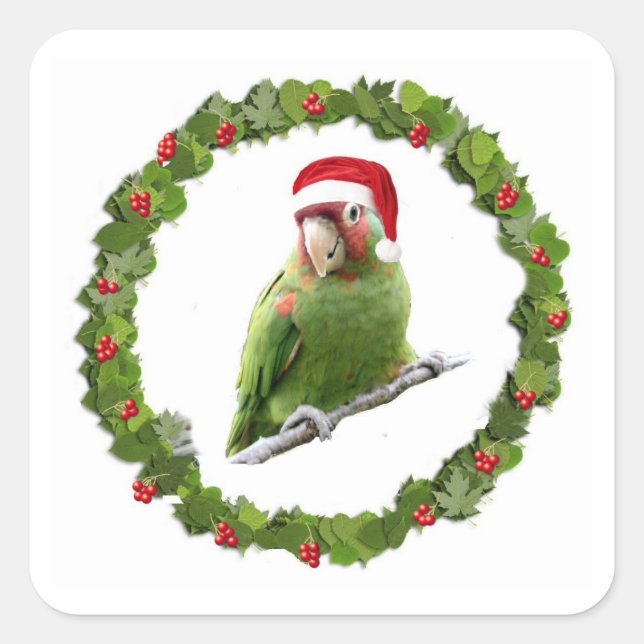 Pegatina Cuadrada Conure Navidades Wreath (Anverso)