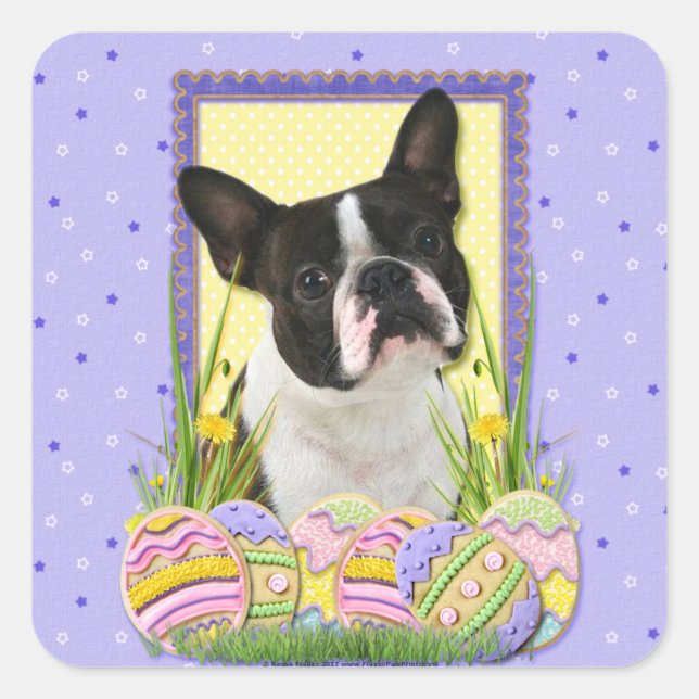 Pegatina Cuadrada Cookies de Huevo de Pascua - Boston Terrier (Anverso)
