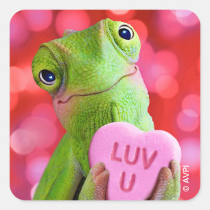 Pegatina Cuadrada Corazón Camaleón (Te Amo)