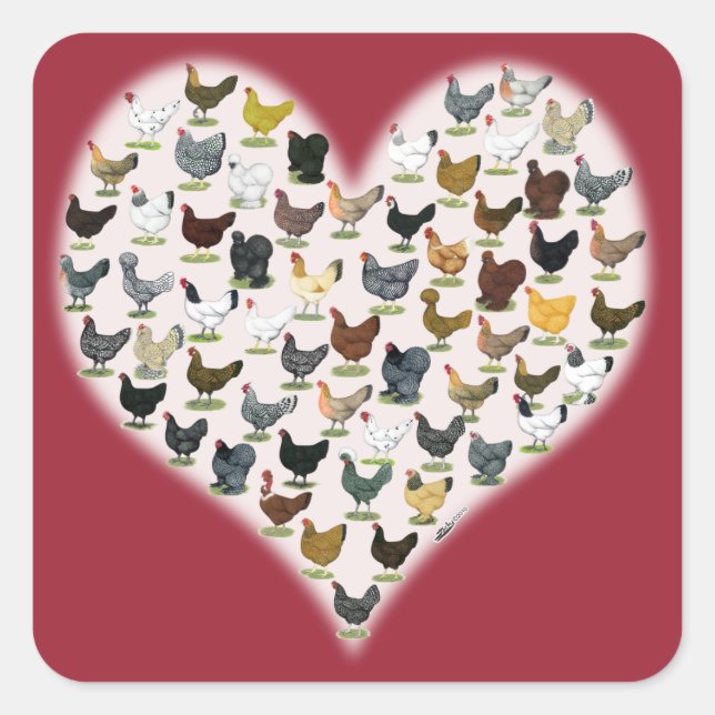 Pegatina Cuadrada Corazón de pollo (Anverso)