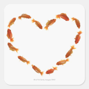 Pegatina Cuadrada Corazón hecho con peces dorados