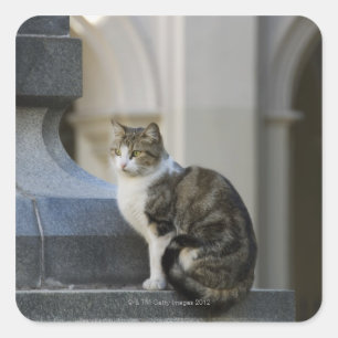 Pegatina Cuadrada cordoba, argentina