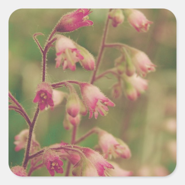 Pegatina Cuadrada Corelbeles, flores de primavera (Anverso)