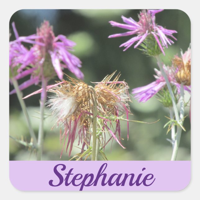 Pegatina Cuadrada Corfu Lilac Wildflowers (Anverso)