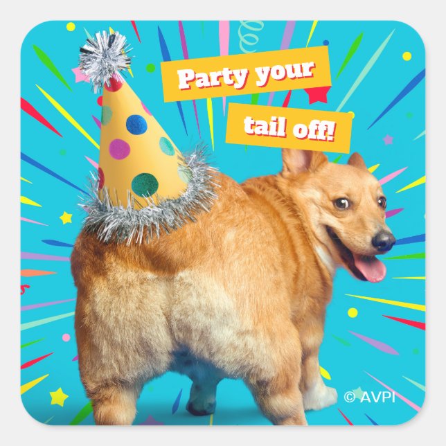 Pegatina Cuadrada Corgi Butt Birthday Hat (Anverso)