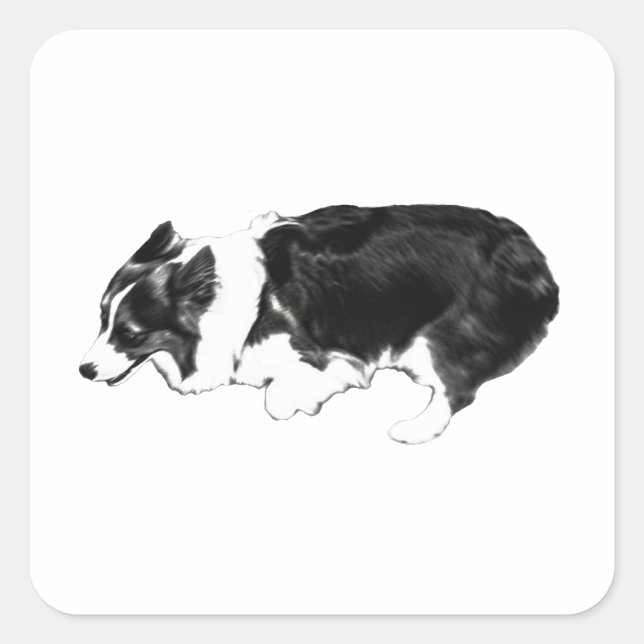 Pegatina Cuadrada Corgi veloz, sonrisa de bolsillo (Anverso)