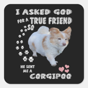Pegatina Cuadrada Corgipoo Lover, Cockerpoo Mom, Corgi Poodle Dad