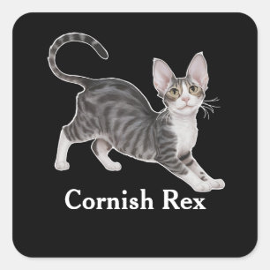 Pegatina Cuadrada Cornish Rex