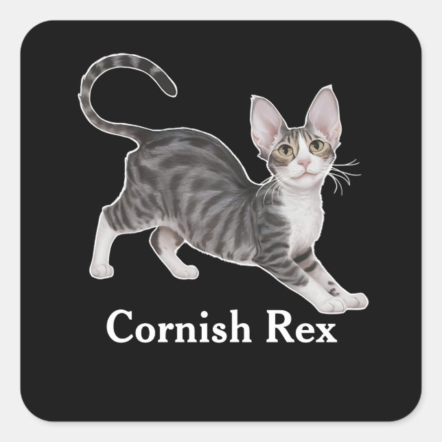 Pegatina Cuadrada Cornish Rex (Anverso)