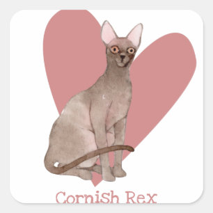 Pegatina Cuadrada Cornish Rex Cat Watercolor Kitty Pink Heart