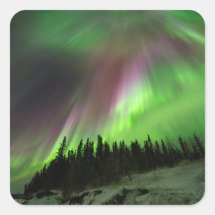 Pegatina Cuadrada Corona Aurora