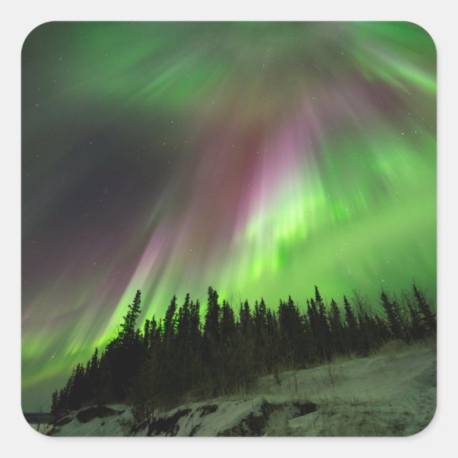 Pegatina Cuadrada Corona Aurora (Anverso)
