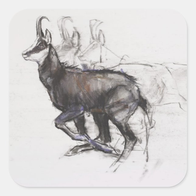Pegatina Cuadrada Corriendo Chamois (Anverso)