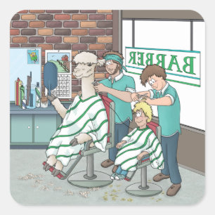 Pegatina Cuadrada Corte de pelo de alpaca