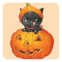 Corto gatito en calabaza Halloween