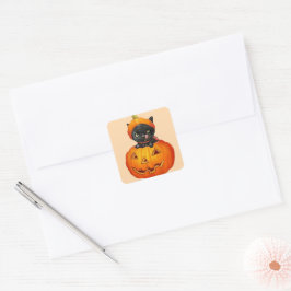 Pegatina Cuadrada Corto gatito en calabaza Halloween