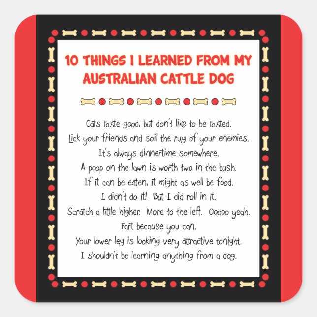 Pegatina Cuadrada Cosas divertidas I aprendido de perro australiano (Anverso)