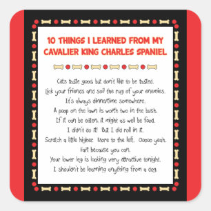 Pegatina Cuadrada Cosas divertidas I aprendido de rey arrogante