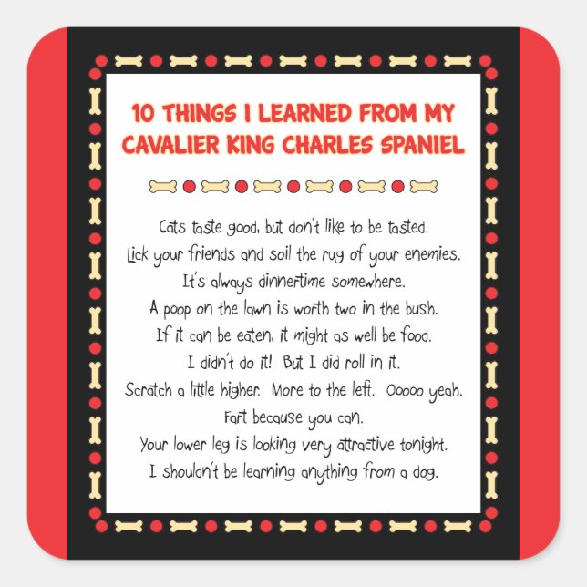 Pegatina Cuadrada Cosas Graciosas Que Aprendí De Cavalier King Charl (Anverso)