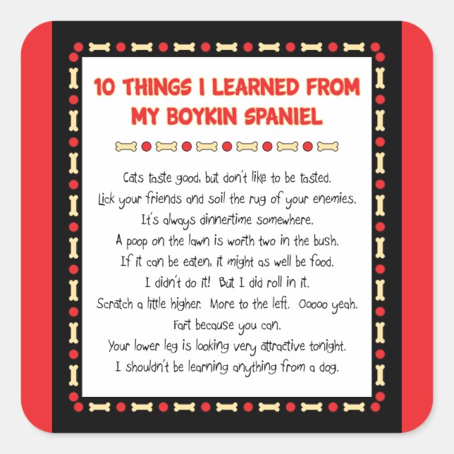 Pegatina Cuadrada Cosas Graciosas Que Aprendí De Mi Boykin Spaniel (Anverso)