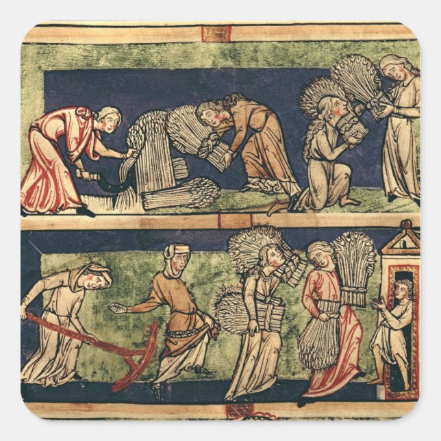 Pegatina Cuadrada Cosecha, Escuela del Rin (Anverso)