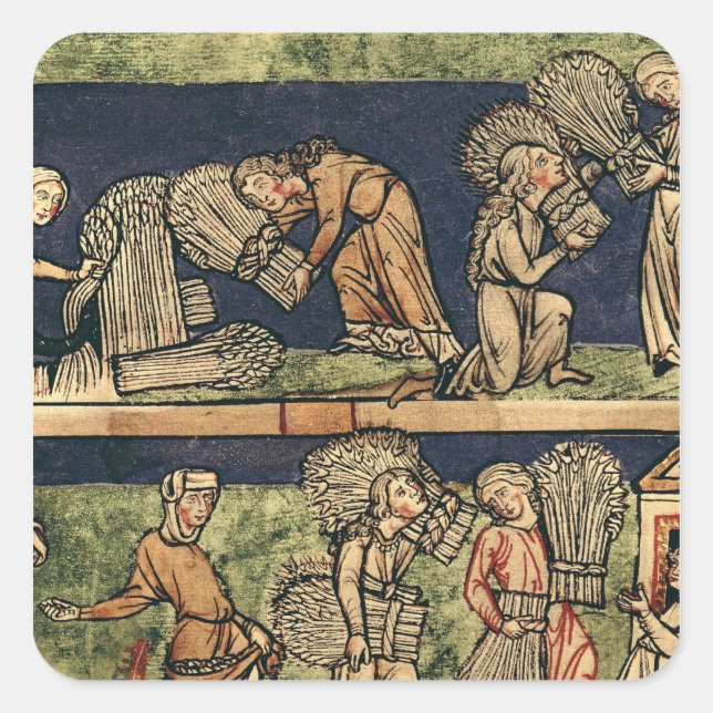 Pegatina Cuadrada Cosecha, Escuela del Rin (Anverso)