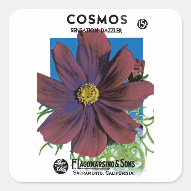 Pegatina Cuadrada Cosmos (Anverso)