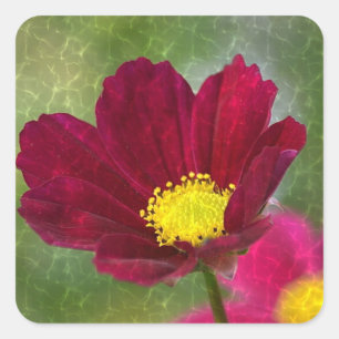 Pegatina Cuadrada Cosmos deslumbrantes