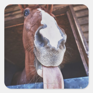 Pegatina Cuadrada costa de benalamadena, malaga, costa del sol, 3