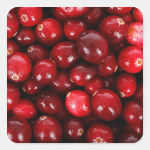 Pegatina Cuadrada Cranberries