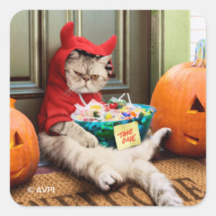 Pegatina Cuadrada Cranky Devil Cat