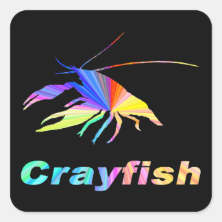 Pegatina Cuadrada Crayfish-24