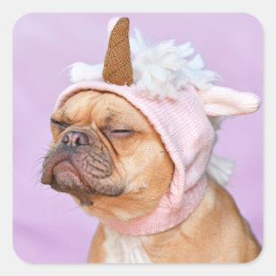 Pegatina Cuadrada Crea tu propia foto personalizada de tu mascota
