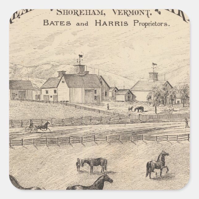 Pegatina Cuadrada Cream Hill Stock Farm en Shoreham Vermont (Anverso)