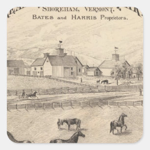 Pegatina Cuadrada Cream Hill Stock Farm en Shoreham Vermont