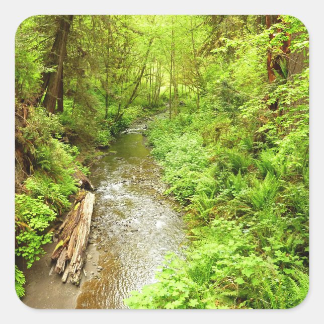 Pegatina Cuadrada Creek masculino perdido II en el Parque Nacional R (Anverso)
