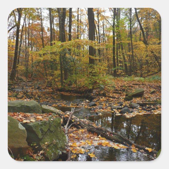 Pegatina Cuadrada Creek otoñal con reflexión en Laurel Hill Park (Anverso)