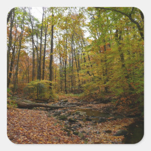 Pegatina Cuadrada Creek otoñal en el Parque Estatal Laurel Hill en P