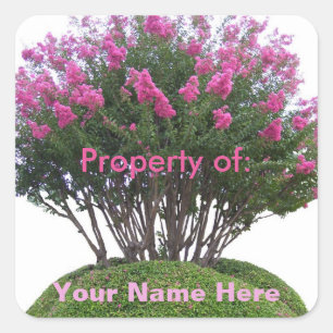Pegatina Cuadrada Crepe Myrtle Mound - Propiedad de: