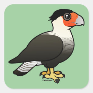 Pegatina Cuadrada Crested Caracara
