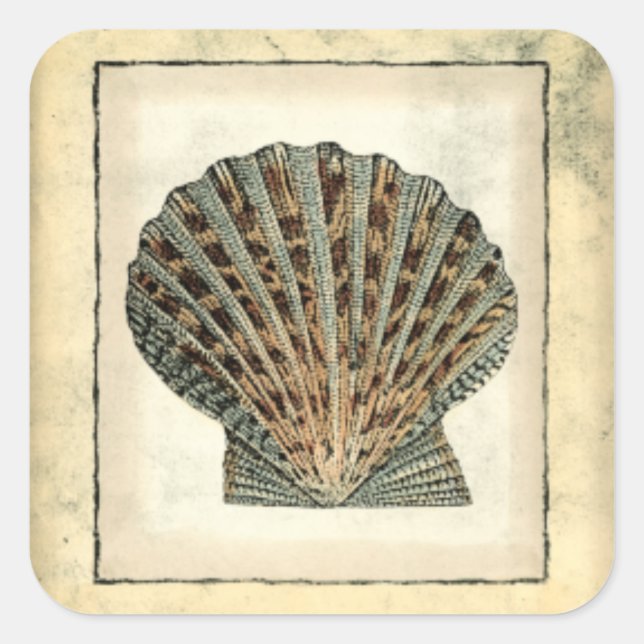 Pegatina Cuadrada Criaturas marinas a orillas del mar (Anverso)