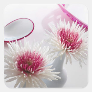 Pegatina Cuadrada Crisantemos