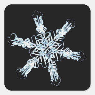 Pegatina Cuadrada Cristal de nieve estelar