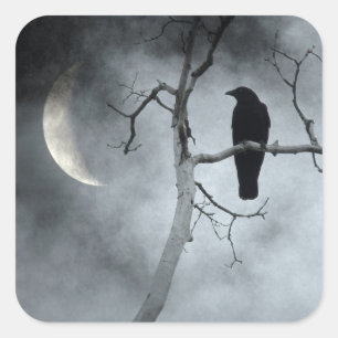 Pegatina Cuadrada Crow místico