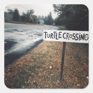 Pegatina Cuadrada cruce de tortugas