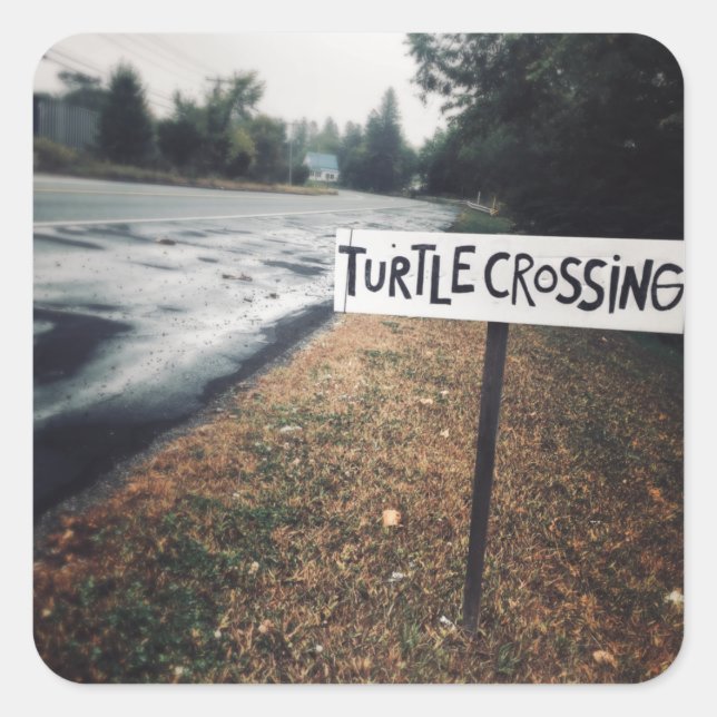 Pegatina Cuadrada cruce de tortugas (Anverso)